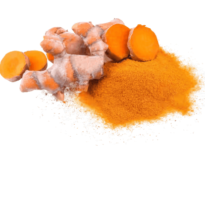 Kurkumawurzelstock Extrakt